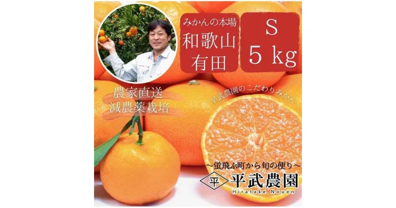 【ふるさと納税】蛍飛ぶ町から旬の便り　有田みかん（5kg Sサイズ）　平武農園　農家直送 | フルーツ 果物 くだもの 食品 人気 おすすめ 送料無料