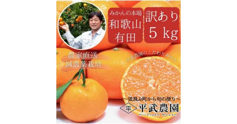 【ふるさと納税】蛍飛ぶ町から旬の便り　有田みかん　訳あり5kg　平武農園　農家直送 | フルーツ 果物 くだもの 食品 人気 おすすめ 送料無料