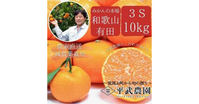 【ふるさと納税】蛍飛ぶ町から旬の便り　有田みかん（10kg 3Sサイズ(超小玉)）　平武農園　農家直送 | みかん ミカン 甘い フルーツ ジューシー 産地直送 和歌山 送料無料 果物 わかやま 本場 ふるさと納税 ふるさと 応援 寄付 先行予約 期間限定 返礼品