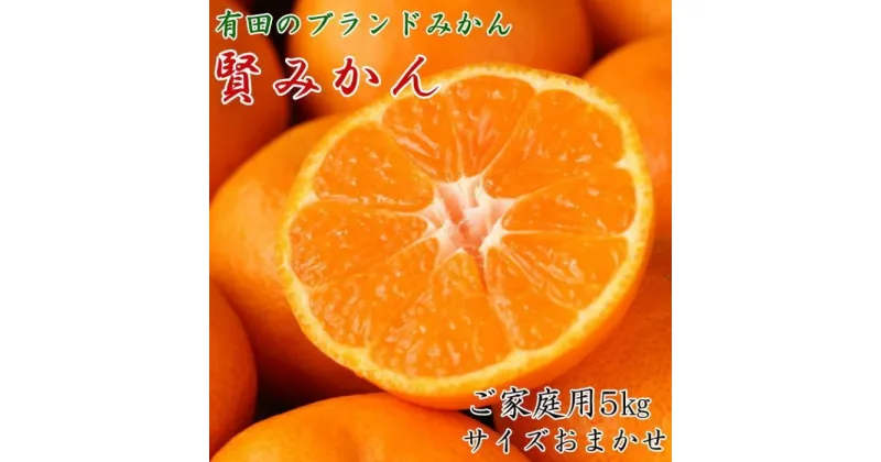 【ふるさと納税】有田のブランド「賢みかん」5kg(S～Lサイズおまかせ）ご家庭用【2024年11月中旬頃より順次発送】 | 先行予約 和歌山 果物 くだもの フルーツ 柑橘 蜜柑 ブランド 取り寄せ ご当地 期間限定 【2023年11月中旬頃より順次発送】