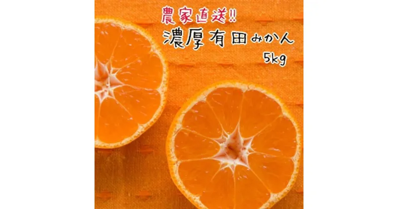 【ふるさと納税】厳選！濃厚有田みかん5kg(2S～Lサイズ)【先行予約】 | みかん 蜜柑 柑橘 和歌山 果物 先行予約 和歌山県産 フルーツ 農家直送 5kg 濃厚 有田 有田川町 ふるさと納税 返礼品 故郷納税