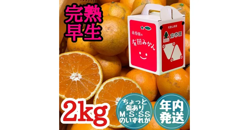 【ふるさと納税】年内発送 ちょっと傷あり 完熟早生 有田みかん M ~ SS サイズ 2kg 手さげ箱 | フルーツ 果物 くだもの 食品 人気 おすすめ 送料無料