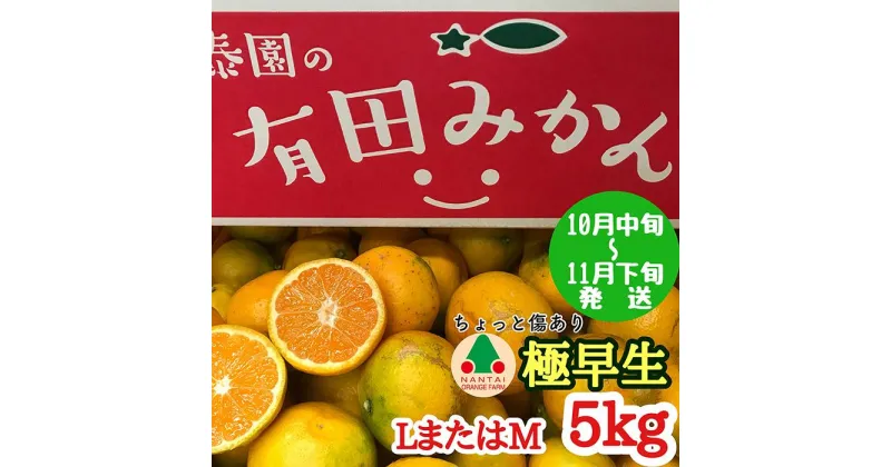 【ふるさと納税】ちょっと 傷あり 極早生 みかん 有田 L または M サイズ 5kg 南泰園