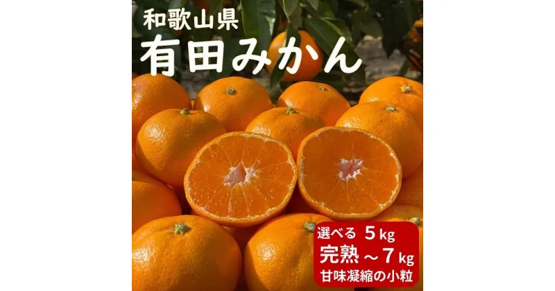 【ふるさと納税】【選べる内容量・7kg または 5kg】先行予約 和歌山県 有田みかん ひとくち 甘味凝縮 極小粒 産直43年 5代目 武内園 完熟蜜柑 | 有田みかん みかん ミカン mikan 有田 有田川 ありだ 和歌山 送料無料 フルーツ 果物 オレンジロード 本場 甘い 濃厚 コク 糖度