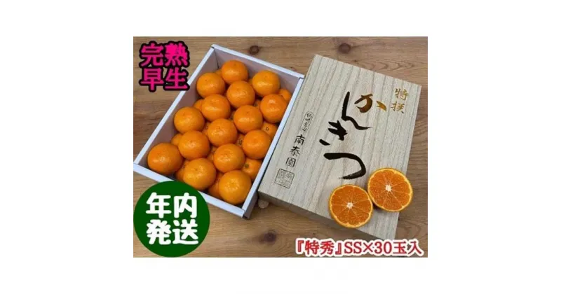 【ふるさと納税】年内発送 完熟早生 有田みかん 化粧小箱 特秀 小玉 SS サイズ 30玉入 和歌山 南泰園 | フルーツ 果物 くだもの 食品 人気 おすすめ 送料無料