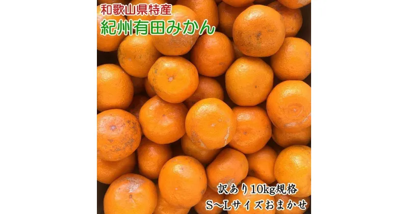 【ふるさと納税】[訳あり]和歌山有田みかん約10kg(S～Lサイズいずれかお届け）★2024年11月中旬頃より順次発送 | 先行予約 和歌山 果物 くだもの フルーツ 柑橘 蜜柑 ブランド 取り寄せ ご当地 期間限定