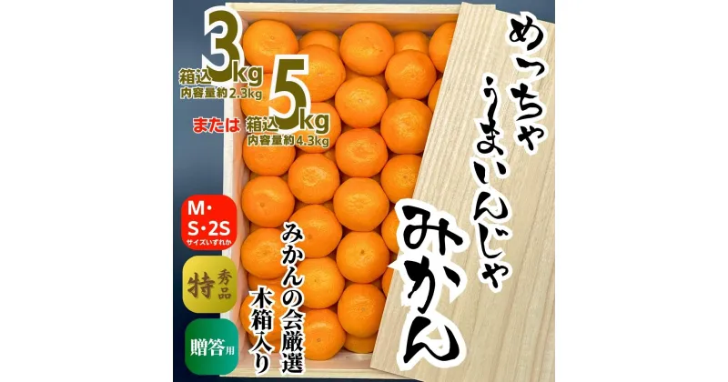 【ふるさと納税】みかん めっちゃうまいんじゃ 木箱入 3kg または 5kg みかんの会厳選 特選品 M S 2S サイズのいずれか 和歌山県産 産地直送 S品 贈答用 【みかんの会】 | フルーツ 果物 くだもの 食品 人気 おすすめ 送料無料