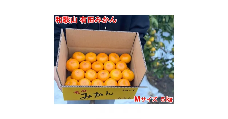 【ふるさと納税】【秀品・サイズM】まる隆果樹園　和歌山有田産！早生みかん≪5kg≫【予約販売】【数量限定】