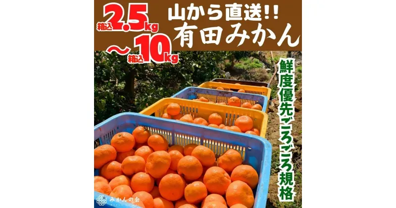 【ふるさと納税】みかん 訳あり 山から直送 箱込 2.5kg ～ 10kg ( 内容量約 2.3kg ~ 9.2kg ) 鮮度優先ごろごろ規格 和歌山県産 産地直送 家庭用 わけあり【みかんの会】 | フルーツ 果物 くだもの 食品 人気 おすすめ 送料無料