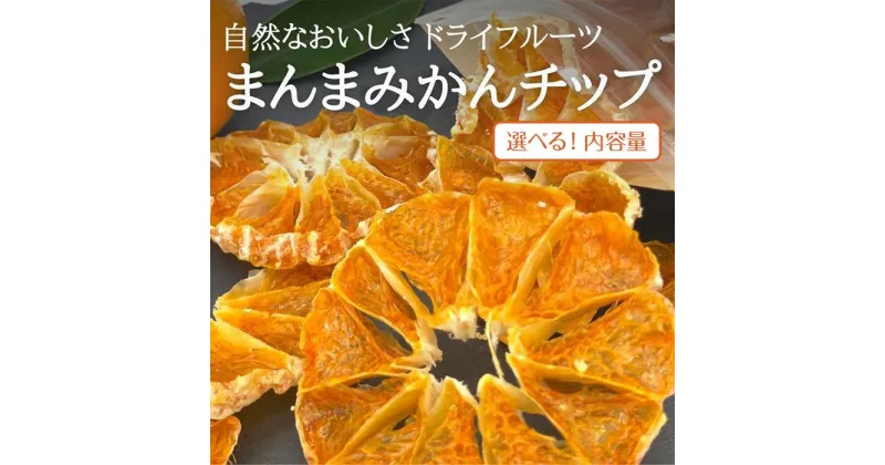 【ふるさと納税】ドライフルーツ みかんチップ 和歌山県産 果物使用 自社製造 【みかんの会】 | 和歌山 おやつ ドライフルーツ みかん 有田みかん チップ 食べきり 取り寄せ 人気