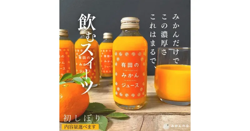 【ふるさと納税】有田のみかんジュース 和歌山県産 有田みかん使用 無添加 100％ ストレート | ジュース 飲料 有田みかん 取り寄せ グルメ オレンジジュース