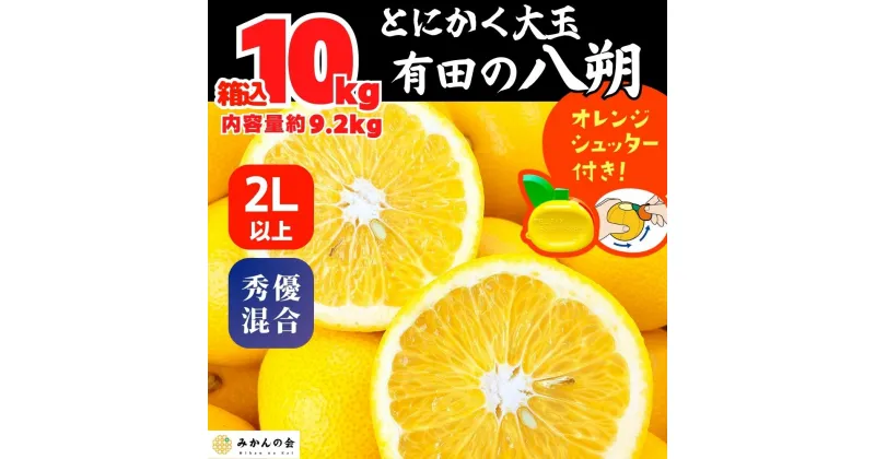 【ふるさと納税】八朔 (はっさく) とにかく 大玉 どっこいしょ 箱込 10kg (内容量約 9.2kg) 秀品 優品 混合 2Lサイズ以上 和歌山県産 産地直送【おまけ付き】【みかんの会】 | みかん 八朔 和歌山 大玉 秀 優 産地直送 和歌山県 有田川町 ふるさと納税 返礼品 故郷納税