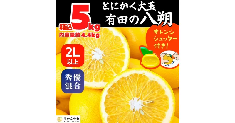 【ふるさと納税】八朔 (はっさく) とにかく 大玉 どっこいしょ 箱込 5kg (内容量約 4.4kg) 秀品 優品 混合 2Lサイズ以上 和歌山県産 産地直送【おまけ付き】【みかんの会】 | みかん 八朔 和歌山 大玉 秀 優 産地直送 和歌山県 有田川町 ふるさと納税 返礼品 故郷納税