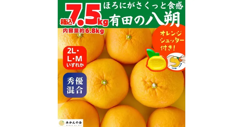 【ふるさと納税】八朔 (はっさく) 玉ぞろい 箱込 7.5kg(内容量約 6.8kg) 2L L Mサイズのいずれか 秀品 優品 混合 和歌山県産 産地直送【おまけ付き】【みかんの会】 | みかん 八朔 和歌山 大玉 秀 優 産地直送 和歌山県 有田川町 ふるさと納税 返礼品 故郷納税