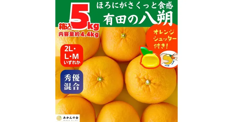 【ふるさと納税】八朔 (はっさく) 玉ぞろい 箱込 5kg(内容量約 4.4kg) 2L L Mサイズのいずれか 秀品 優品 混合 和歌山県産 産地直送【おまけ付き】【みかんの会】 | みかん 八朔 和歌山 大玉 秀 優 産地直送 和歌山県 有田川町 ふるさと納税 返礼品 故郷納税