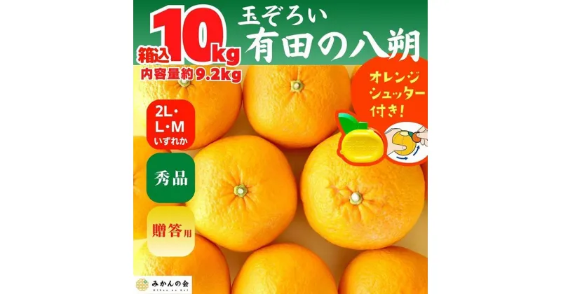 【ふるさと納税】八朔 (はっさく) 玉ぞろい 箱込 10kg(内容量約 9.2kg) 2L L Mサイズのいずれか 秀品 優品 混合和歌山県産 産地直送【おまけ付き】【みかんの会】 | みかん 八朔 和歌山 大玉 秀 優 産地直送 和歌山県 有田川町 ふるさと納税 返礼品 故郷納税