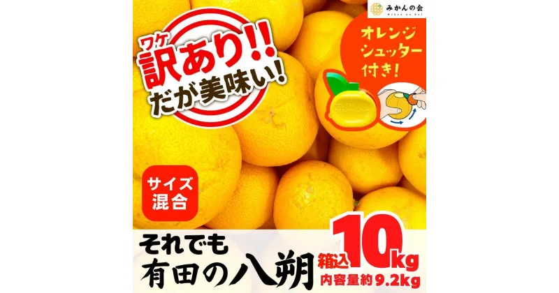 【ふるさと納税】八朔 訳あり それでも 有田の八朔 (はっさく) 箱込 10kg (内容量約 9.2kg) サイズミックス B品 和歌山県産 産地直送【おまけ付き】【みかんの会】 | みかん 八朔 和歌山 家庭用 和歌山県 有田川町 訳あり ふるさと納税 返礼品 故郷納税