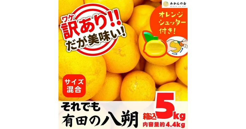 【ふるさと納税】八朔 訳あり それでも 有田の八朔 (はっさく) 箱込 5kg (内容量約 4.4kg) サイズミックス B品 和歌山県産 産地直送【おまけ付き】【みかんの会】 | みかん 八朔 和歌山 家庭用 和歌山県 有田川町 訳あり ふるさと納税 返礼品 故郷納税