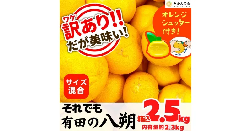 【ふるさと納税】八朔 訳あり それでも 有田の八朔 (はっさく) 箱込 2.5kg (内容量約 2.3kg) サイズミックス B品 和歌山県産 産地直送【おまけ付き】【みかんの会】 | みかん 八朔 和歌山 家庭用 和歌山県 有田川町 訳あり ふるさと納税 返礼品 故郷納税