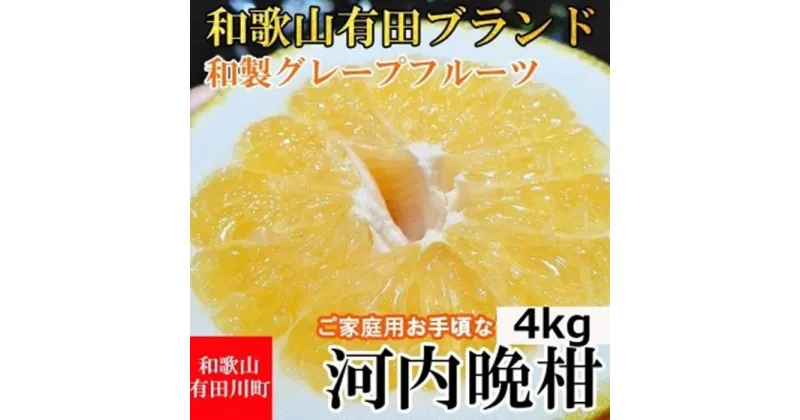 【ふるさと納税】【有田川町】河内晩柑 4kg 和製グレープフルーツ ブラン 和歌山 ブランド 有田みかん ご家庭用 | フルーツ 果物 くだもの 食品 人気 おすすめ 送料無料