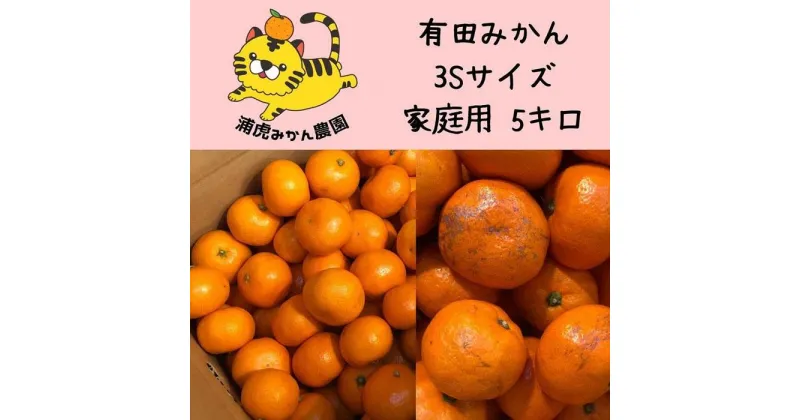 【ふるさと納税】温州みかん　家庭用5kg ( 3Sサイズ以下指定)小さなミカンが好きな人におすすめ