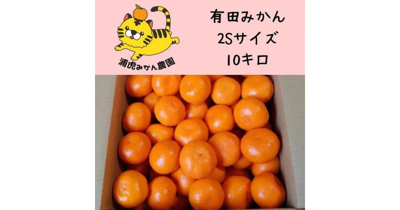 【ふるさと納税】きれいな温州みかん 寄贈用にも 10kg（SSサイズ）小さなミカンが好きな人におすすめ