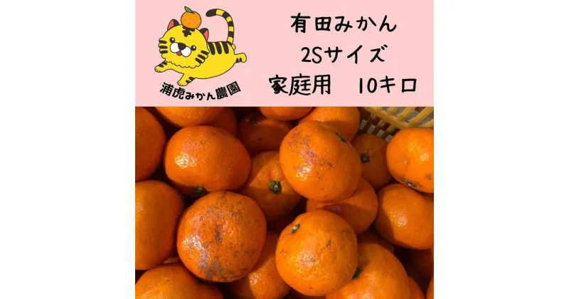 【ふるさと納税】訳あり温州みかん 家庭用 10kg（SSサイズ） 小さなミカンが好きな人におすすめ