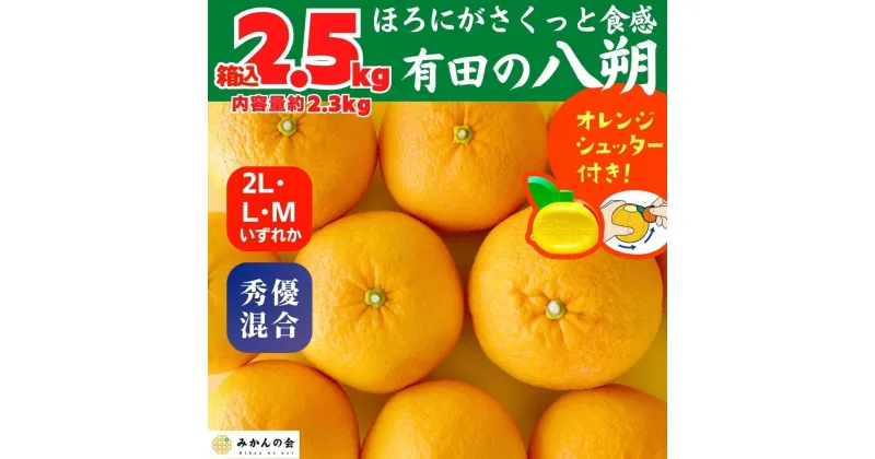 【ふるさと納税】八朔 (はっさく) 玉ぞろい 箱込 2.5kg(内容量約 2.3kg) 2L L Mサイズのいずれか 秀品 優品 混合和歌山県産 産地直送【おまけ付き】【みかんの会】 | みかん 八朔 和歌山 大玉 秀 優 産地直送 和歌山県 有田川町 ふるさと納税 返礼品 故郷納税