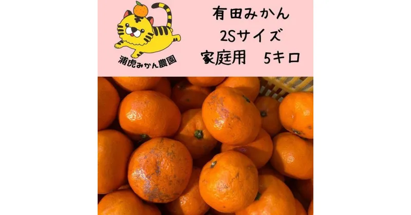 【ふるさと納税】訳あり温州みかん 家庭用 5kg（SSサイズ）小さなミカンが好きな人におすすめ