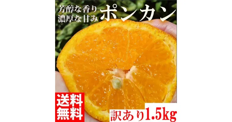 【ふるさと納税】ぽんかん ポンカン 1500g 訳あり 産地直送 オレンジ フルーツ 果物