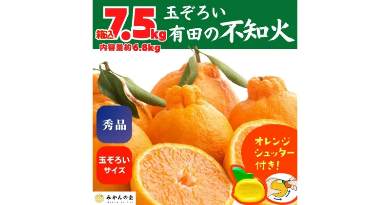 【ふるさと納税】不知火 (しらぬい) 秀品 玉ぞろい 箱込 7.5kg (内容量約6.8kg) 和歌山県産 産地直送 【みかんの会】 | みかん 不知火 和歌山 秀 優品 和歌山県産 有田 旬 フルーツ 産地直送 柑橘 有田川町 ふるさと納税 返礼品 故郷納税