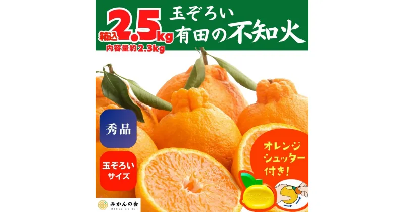 【ふるさと納税】不知火 (しらぬい) 秀品 玉ぞろい 箱込 2.5kg (内容量約2.3kg) 和歌山県産 産地直送 【みかんの会】 | みかん 不知火 和歌山 秀 優品 和歌山県産 有田 旬 フルーツ 産地直送 柑橘 有田川町 ふるさと納税 返礼品 故郷納税