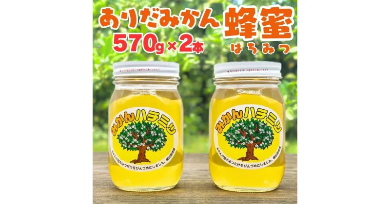 【ふるさと納税】ありだみかん蜂蜜 2本セット（570g×2本）