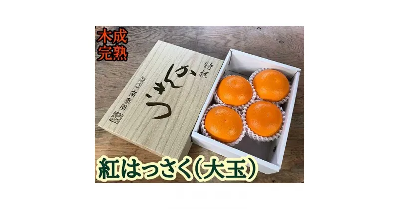 【ふるさと納税】木成完熟 紅はっさく 特秀 大玉 2L × 4玉入 化粧小箱 南泰園【2025年4月上旬～発送】