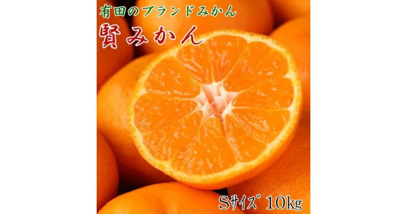 【ふるさと納税】[秀品]有田のブランド「賢みかん」10kg(Sサイズ)【2024年11月中旬頃より順次発送】