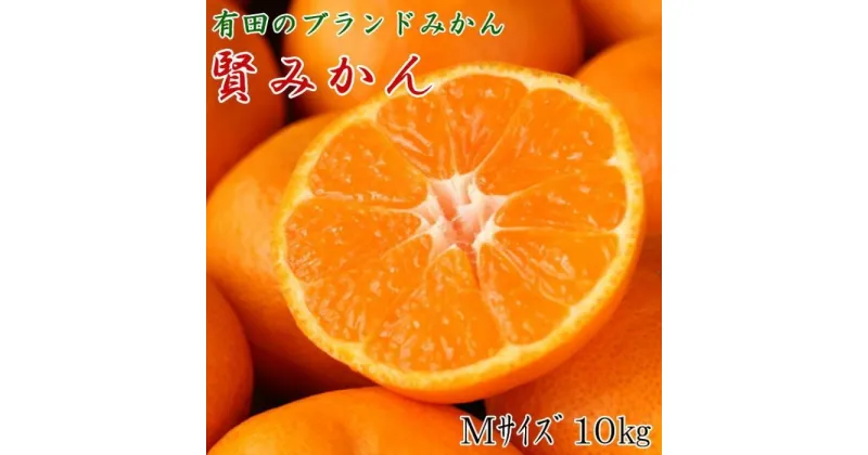 【ふるさと納税】[秀品]有田のブランド「賢みかん」10kg(Mサイズ)【2024年11月中旬頃より順次発送】