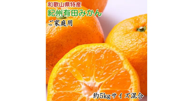 【ふるさと納税】和歌山有田みかん約5kg ご家庭用（サイズ混合）★2024年11月中旬頃より順次発送