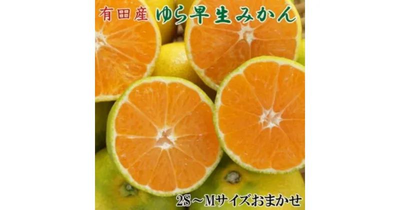 【ふるさと納税】【極早生みかんの逸品】有田産ゆら早生みかん約5kg★2024年10月中旬頃より順次発送