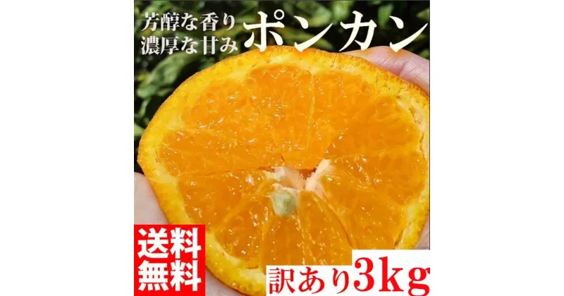 【ふるさと納税】ぽんかん ポンカン 3kg 訳あり 産地直送 オレンジ フルーツ 果物