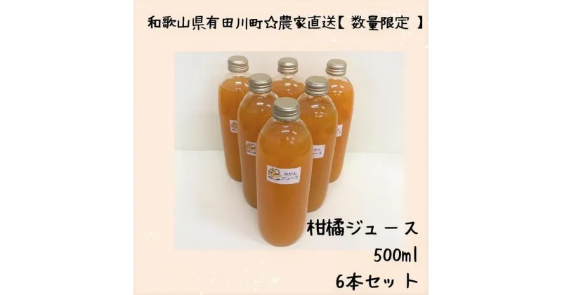 【ふるさと納税】数量限定　温州みかん100％ 搾りたてのみかんジュース　500ml× 6本