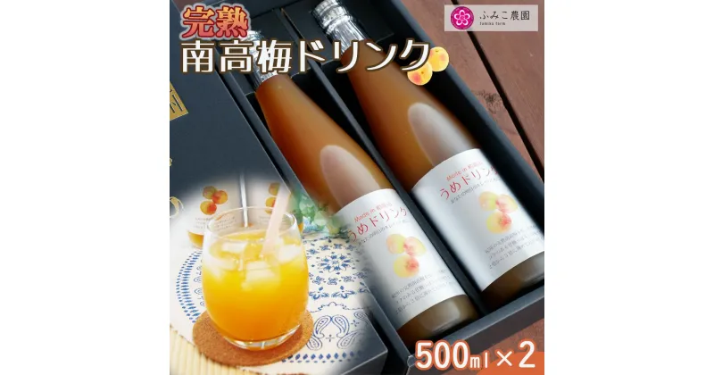 【ふるさと納税】完熟南高梅ドリンク500ml×2