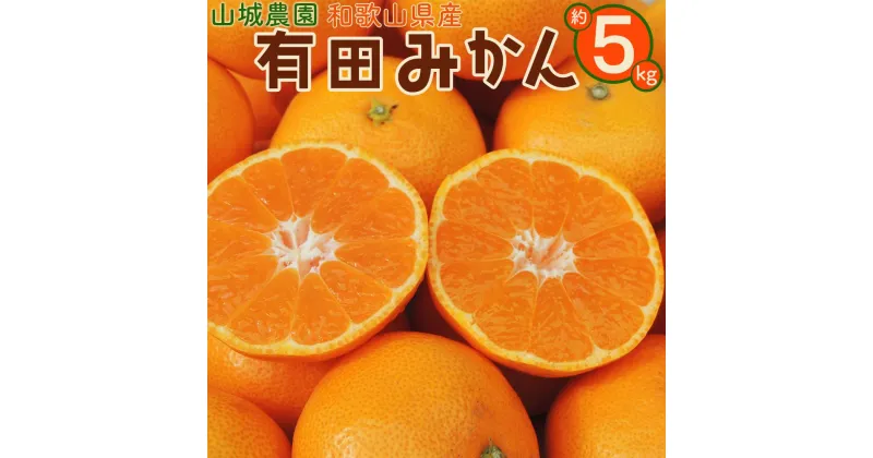 【ふるさと納税】山城農園 和歌山県産 有田みかん 5kg 混サイズ 農園直送 ORYY 人気No.1 口コミ多数！ | 年内発送 みかん ミカン mikan 有田 有田川 ありだ 和歌山 送料無料 フルーツ 果物 オレンジロード 本場 甘い 濃厚 コク S M L ふるさと納税 ふるさと 応援 寄附