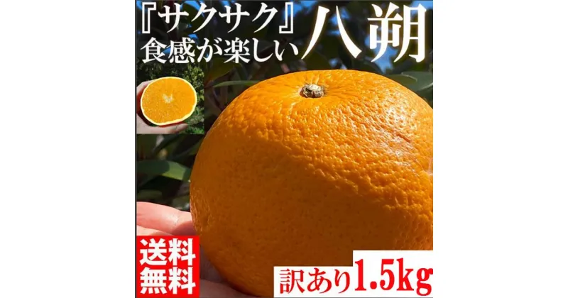 【ふるさと納税】【有田川町】みかん はっさく 八朔 1500g 訳あり ブランド 和歌山 有田みかん ありだみかん