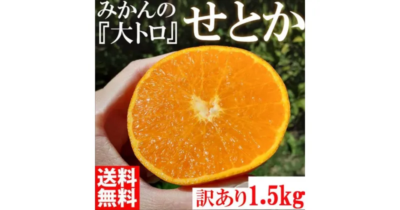 【ふるさと納税】みかん の大トロ せとか 1500g 訳あり ブランド 和歌山 有田みかん 農家直送 オレンジ フルーツ 果物