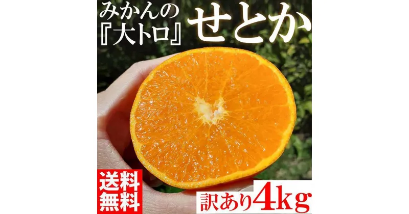 【ふるさと納税】せとか みかんの大トロ 4kg 訳あり ブランド 和歌山 有田みかん 農家直送 オレンジ フルーツ 果物