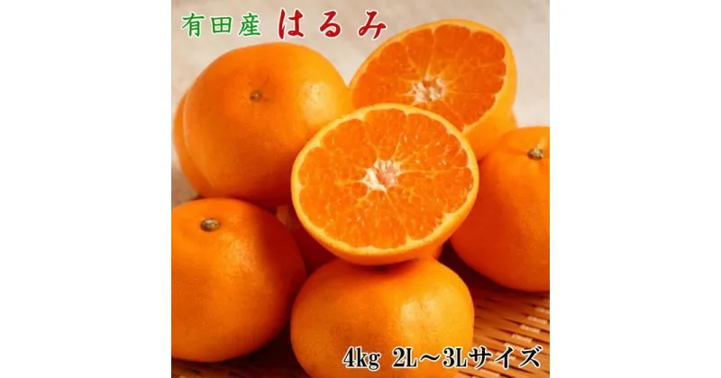 【ふるさと納税】【厳選・濃厚】紀州有田産のはるみ約4kg(サイズおまかせ) ★2025年1月中旬頃より順次発送