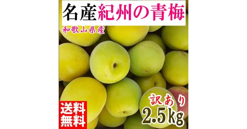 【ふるさと納税】青梅 2.5kg 紀州南高梅 シロップ・梅酒・梅干し用など 和歌山県有田産 訳あり 2025年5月下旬～7月上旬発送予定 | 梅 うめ 南高梅 完熟 生梅 秀品 和歌山県 梅酒用 梅干用 梅シロップ 梅ジャム 送料無料 お土産 取り寄せ