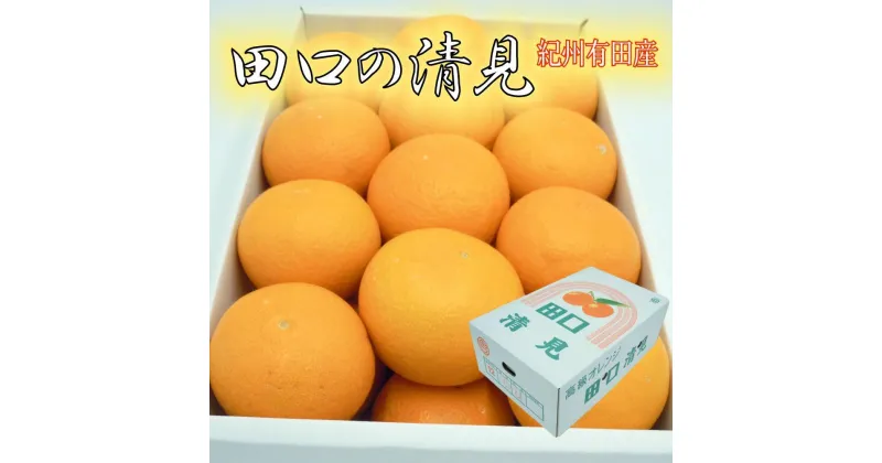 【ふるさと納税】田口の清見オレンジ 秀品　5kg　L～3L（30玉～18玉）化粧箱入り サイズおまかせ【2025／2／26～2025／3／31 順次発送】