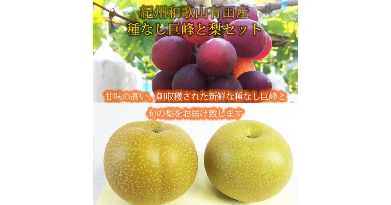 【ふるさと納税】紀州有田産の種なし巨峰と梨セット　計約2kg【先行予約】【2025年8月下旬以降発送予定】 | 果物 フルーツ ぶどう ブドウ 葡萄 産直 産地直送 和歌山県 おすすめ お取り寄せ 先行予約 期間限定 数量限定