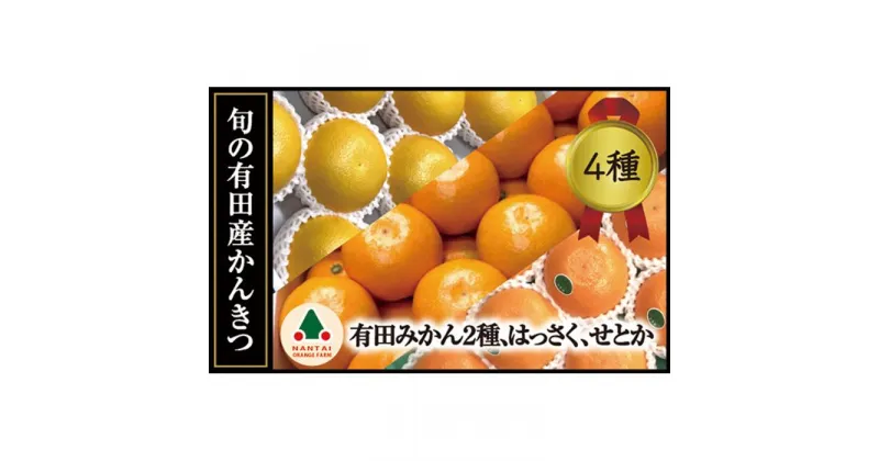 【ふるさと納税】定期便 旬の有田産かんきつ味わい セット 全4回 お届け 南泰園